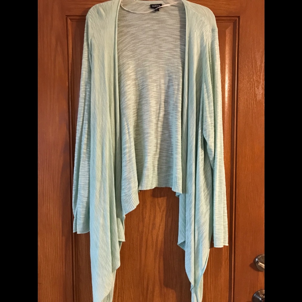 Sea foam green torrid plus sized sweater